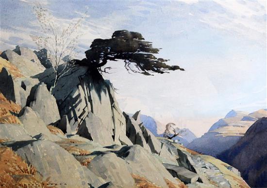 William Heaton Cooper (1903-1995) Trees and rocks, Patterdale 14.75 x 21in.